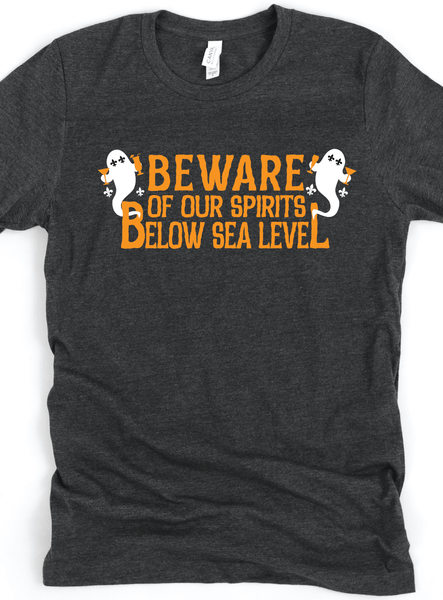 Beware of Our Spirits T-Shirt